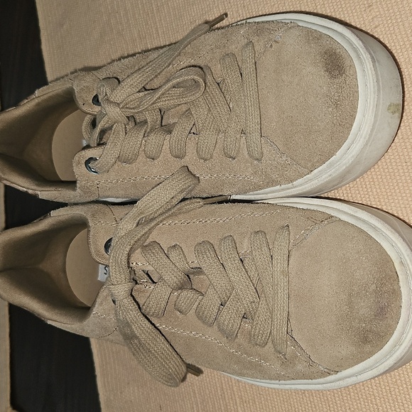 Steve Madden Charlie Suede Sneakers - Picture 4 of 5